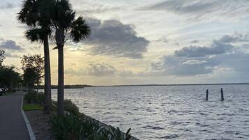 A waterfront promenade with palm trees and a path alongside a calm body of water.
