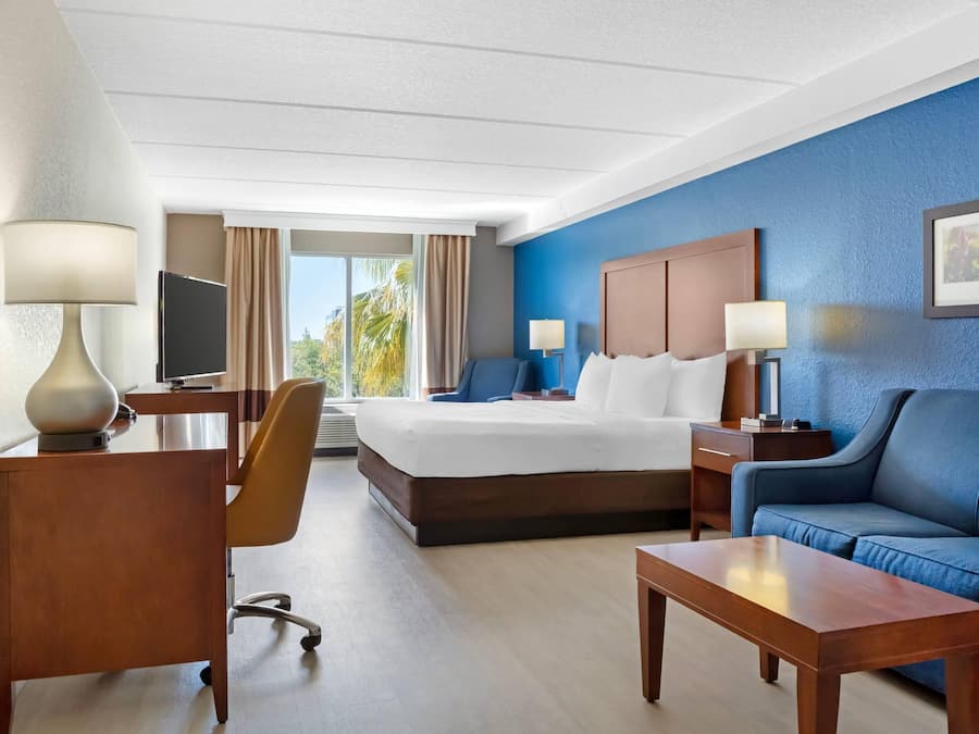 Suite, 1 King Bed, Non Smoking