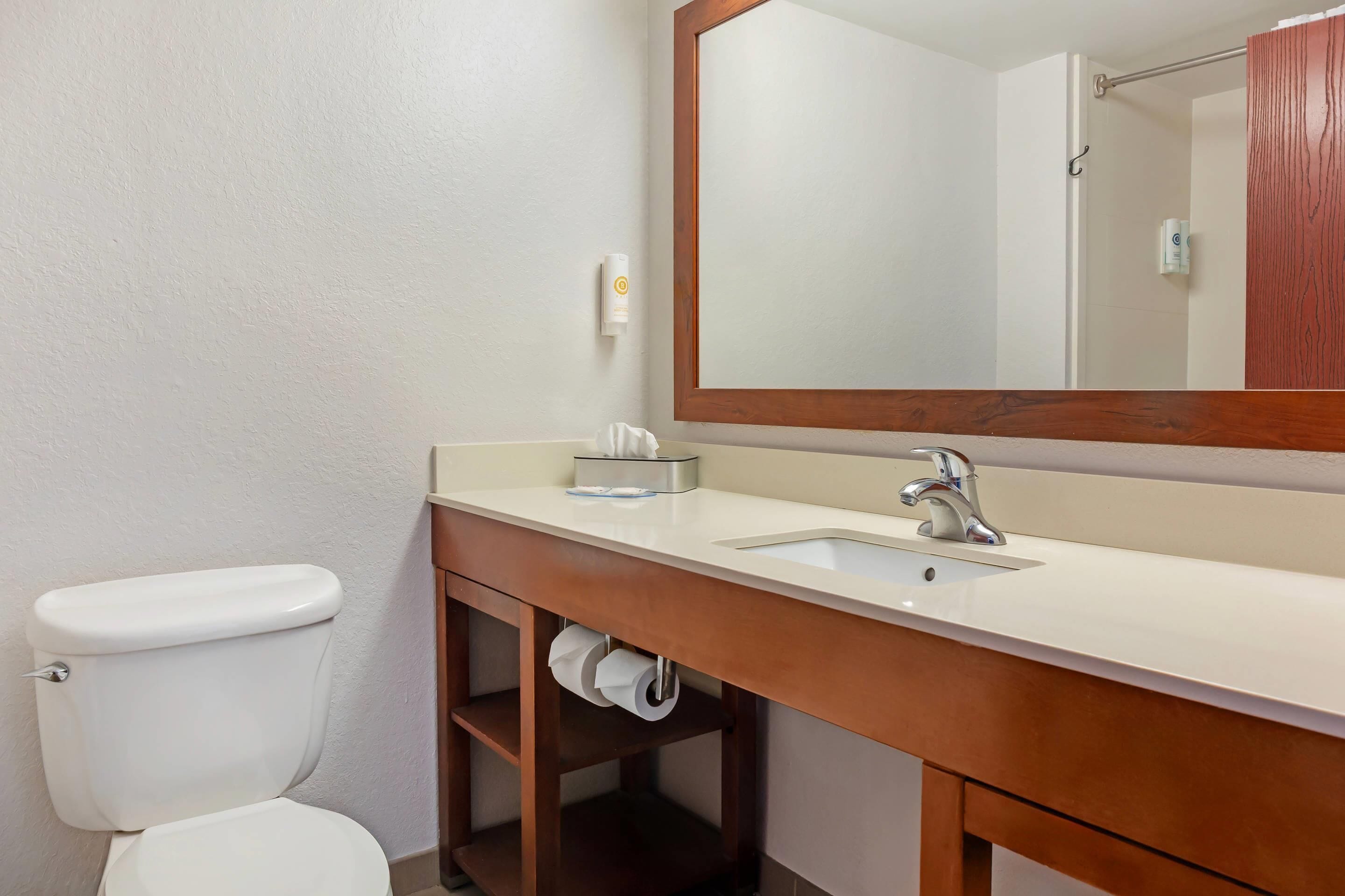 A bathroom with a white toilet, a wooden vanity with a sink, and a mirror above the vanity.