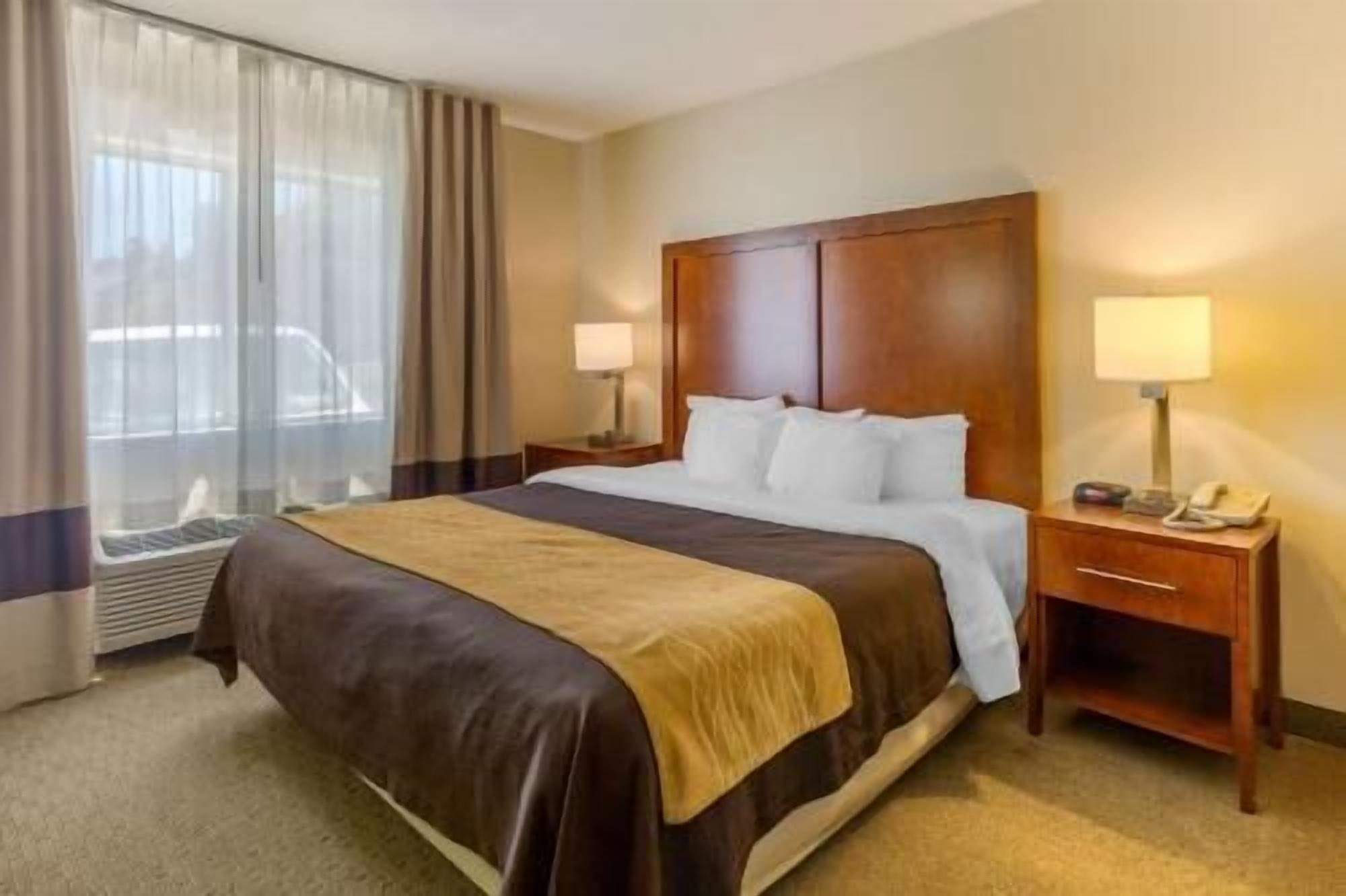 Premium bedding, down comforters, memory foam beds, desk