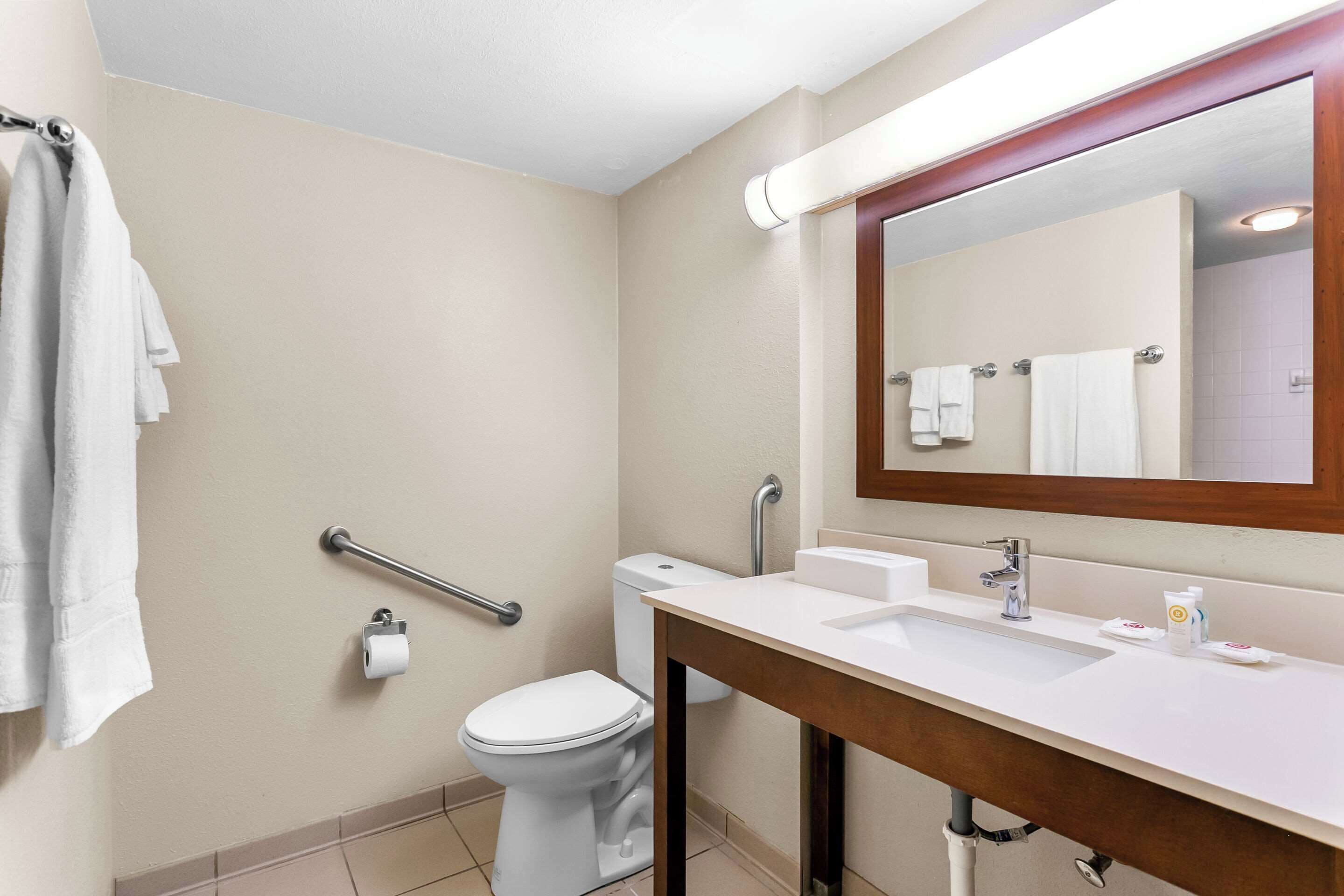 Un baño con inodoro, lavabo y espejo.