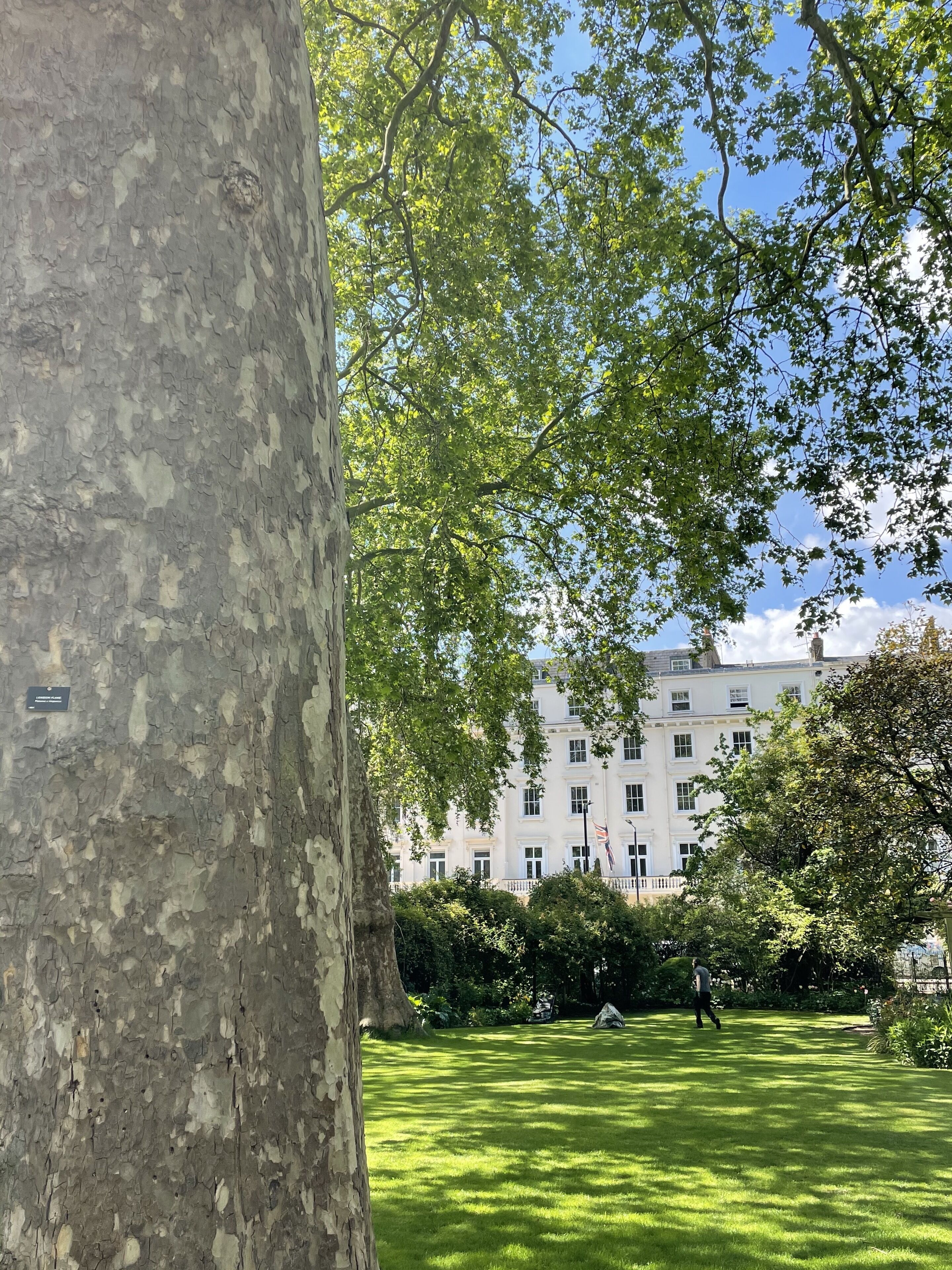 Foto - Eccleston Square Hotel