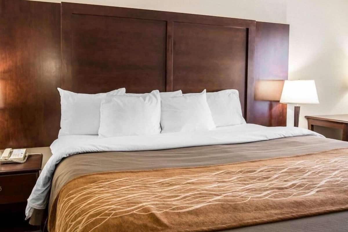 Premium bedding, individually furnished, desk, laptop workspace