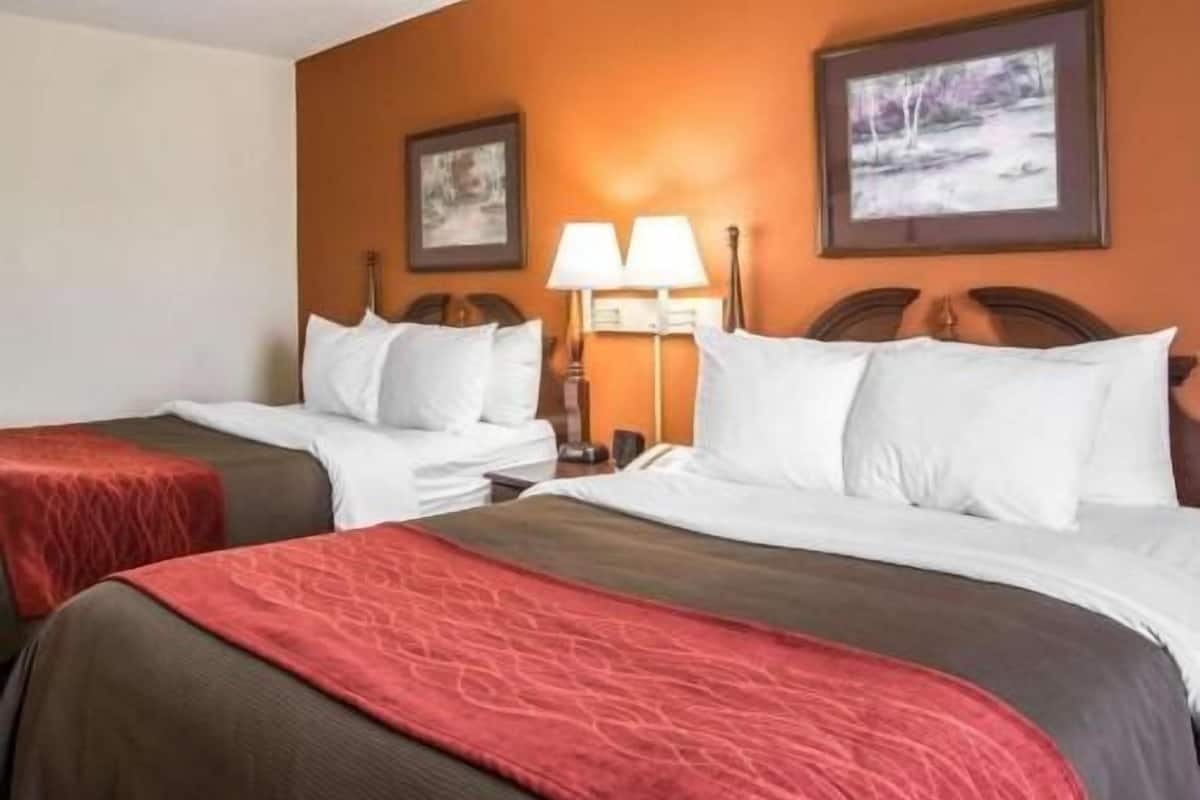 Premium bedding, individually furnished, desk, laptop workspace