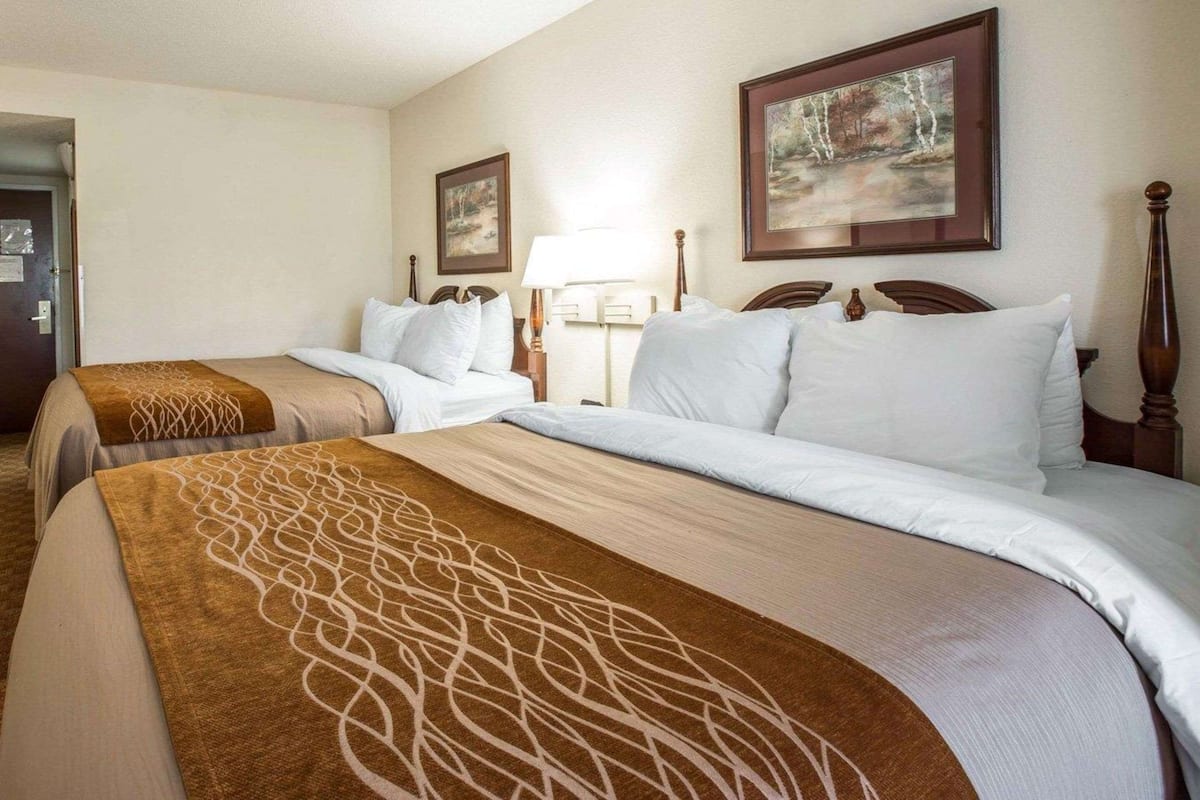 Habitación doble estándar, 2 camas matrimoniales, para no fumadores | 1 habitación, ropa de cama de alta calidad y muebles diferentes