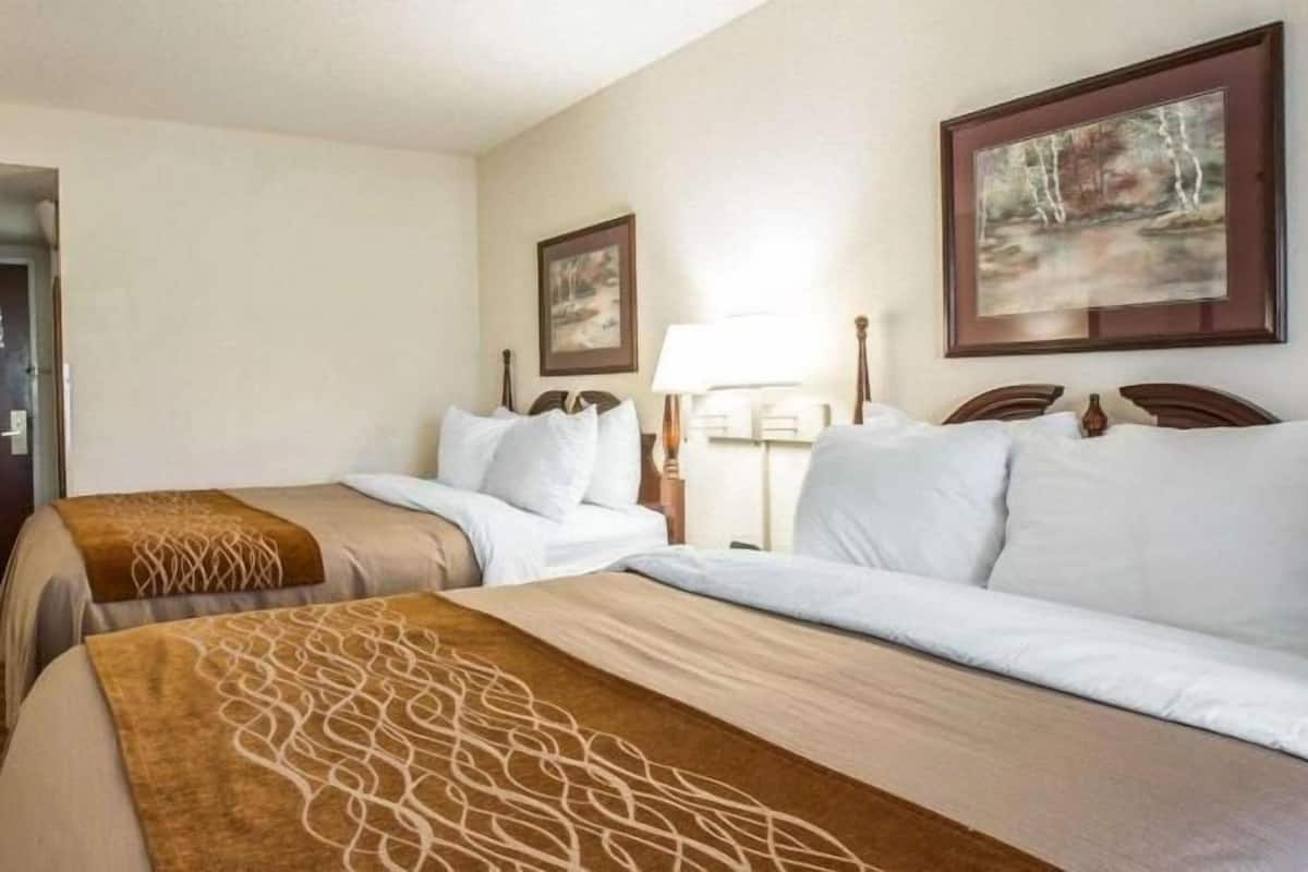 Premium bedding, individually furnished, desk, laptop workspace