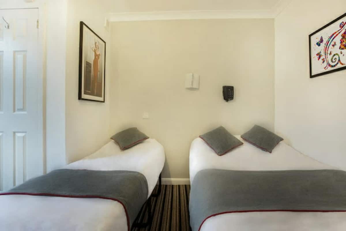 Una habitación de hotel con dos camas individuales, una puerta, un cuadro enmarcado en la pared y un adorno decorativo.