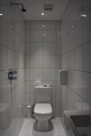 Driepersoonskamer | Badkamer | Een douche, gratis toiletartikelen, een haardroger, handdoeken