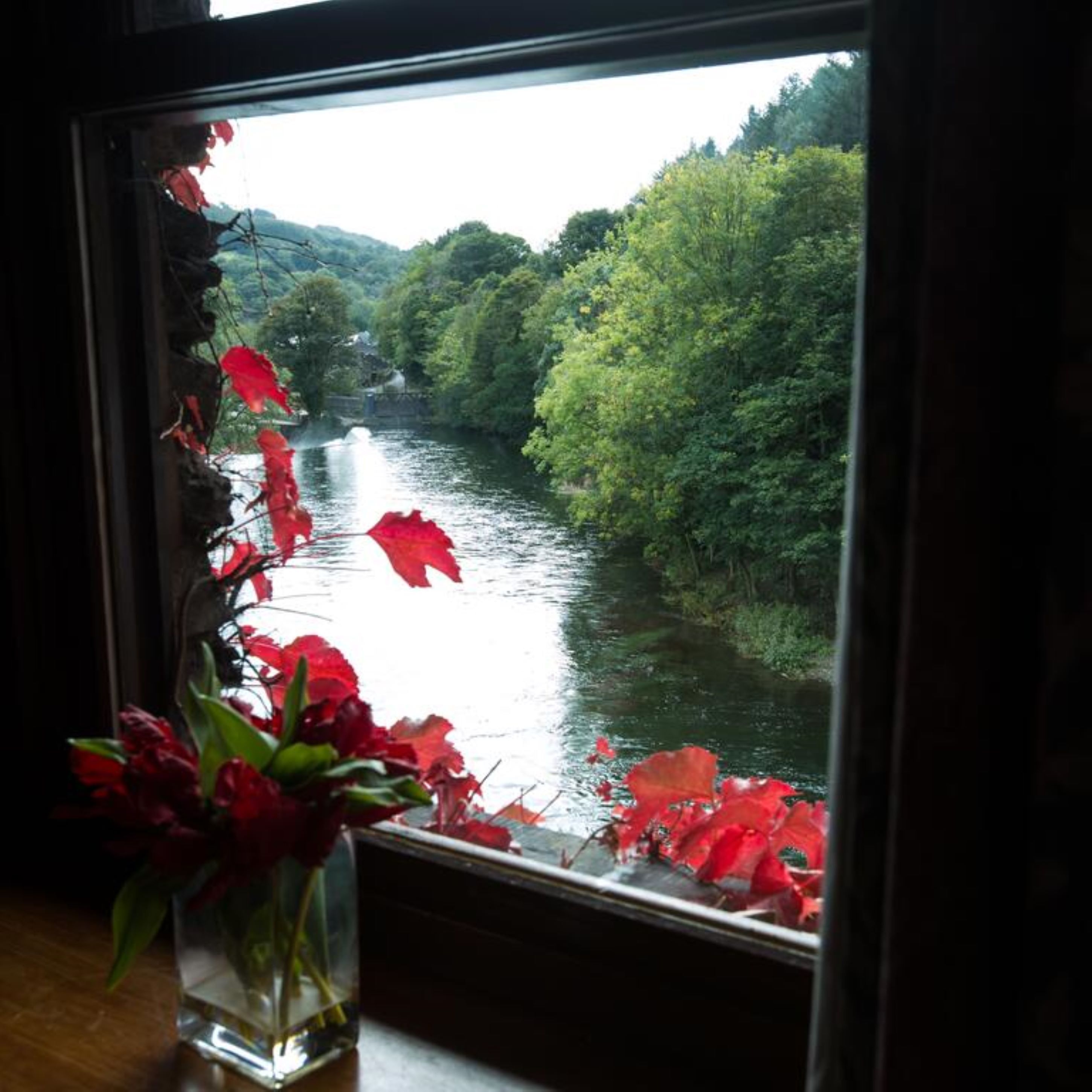 A window with a view of a river surrounded by trees.