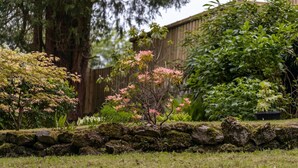 A garden with a variety of plants and a stone wall. - Grange Manor (Grange-over-Sands)