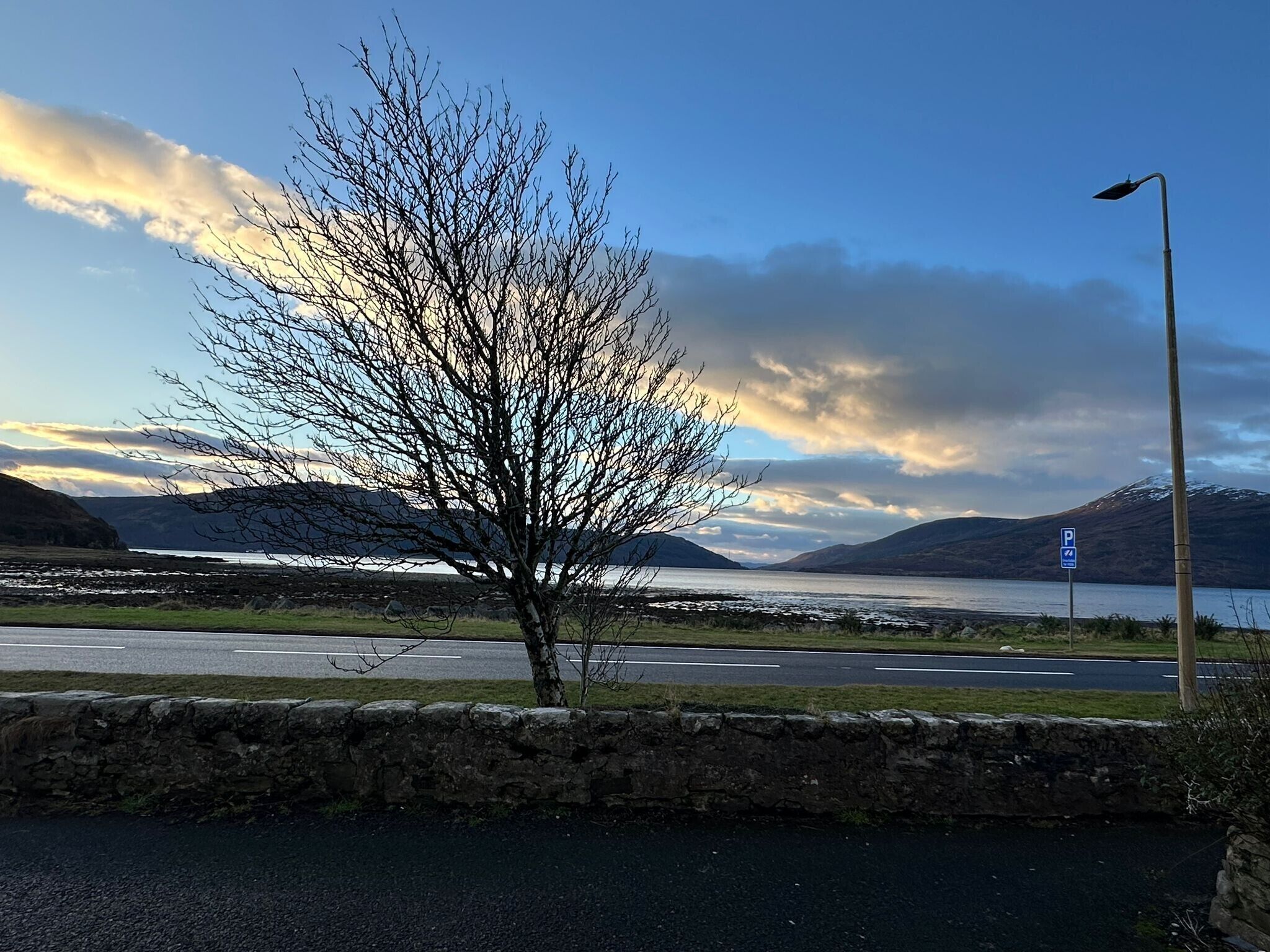 A roadside view with a tree, a stone wall, a parking sign, and a mountain in the background.