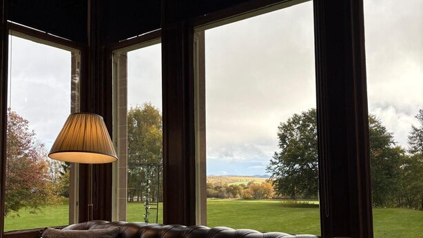 Een leren bank met een lamp en uitzicht op een grasveld door grote ramen.
