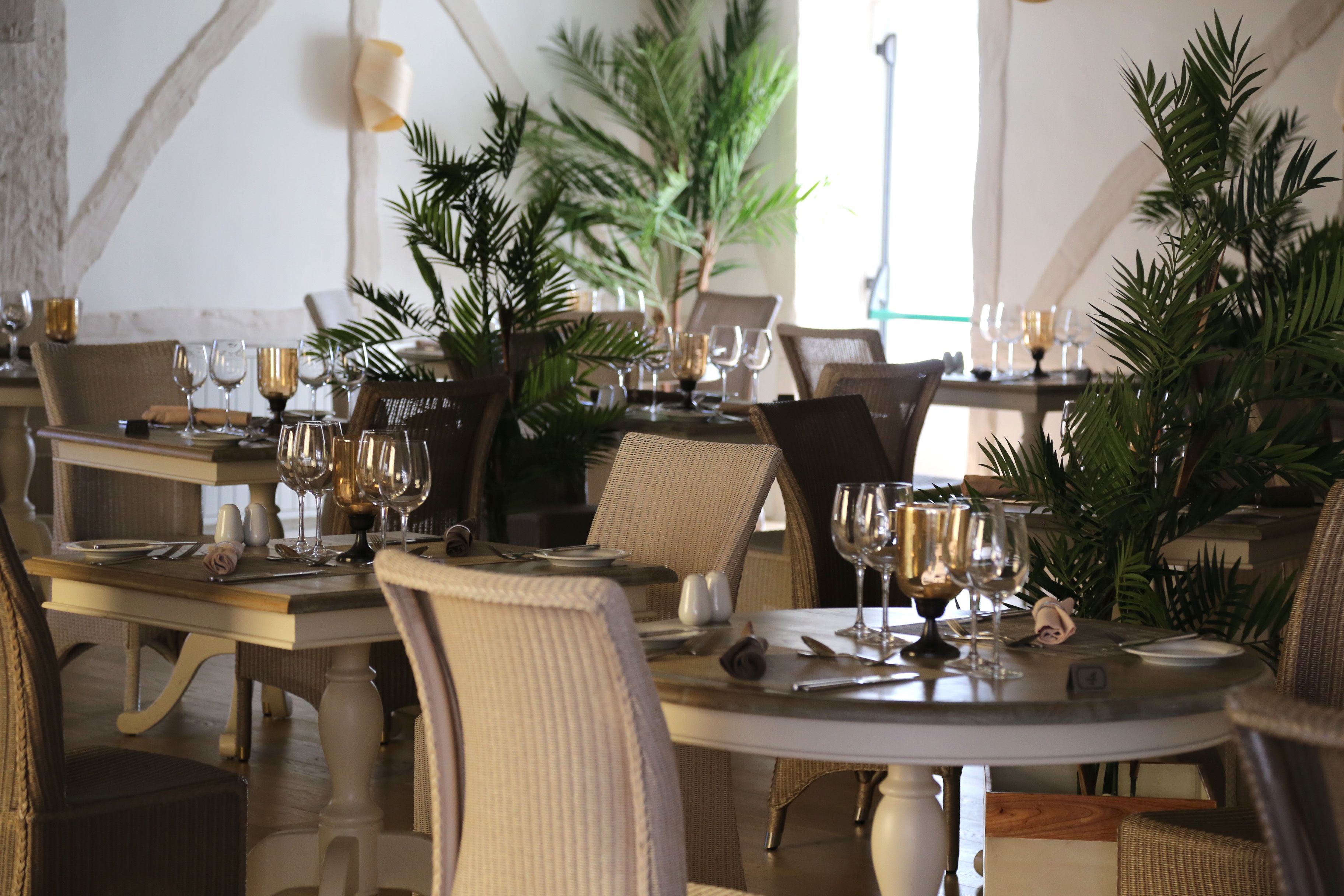 breakfast, lunch and dinner served