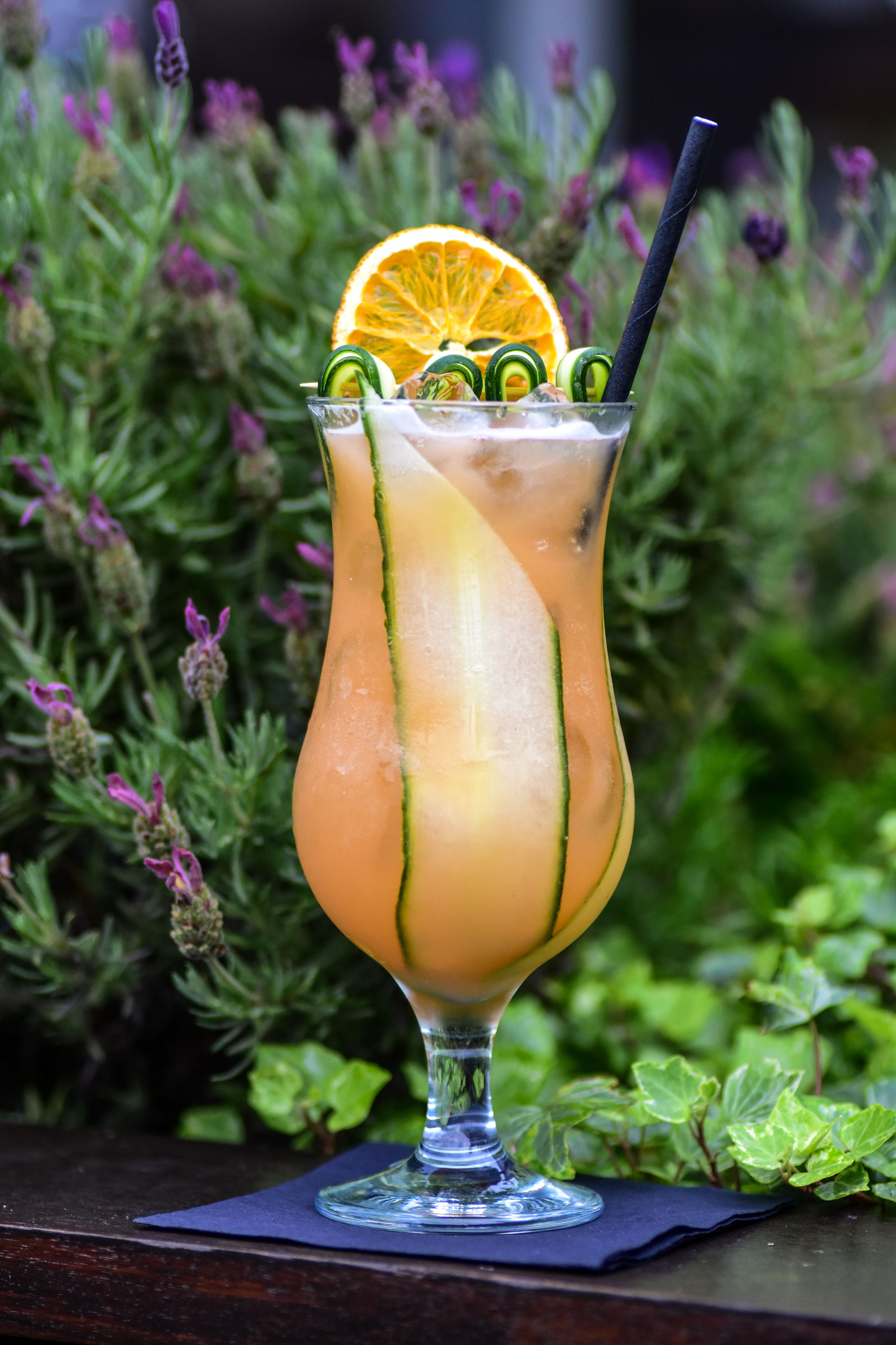 Ein Cocktail im hohen Glas mit Strohhalm, verziert mit Orangenscheibe und Gurkenscheiben, vor einer Kulisse aus Grünpflanzen und violetten Blumen.