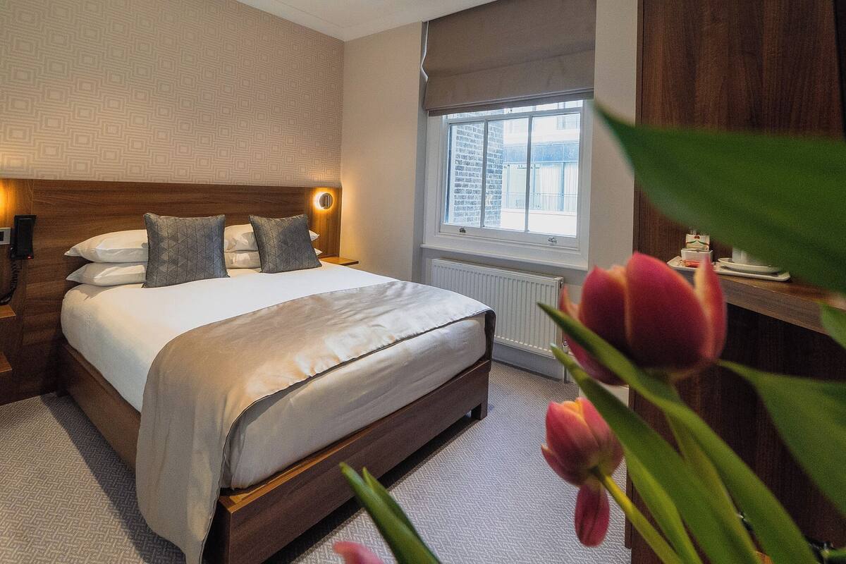A neatly made bed with a wooden headboard, a bedside table with a lamp, a window with a view, and a plant in the foreground.