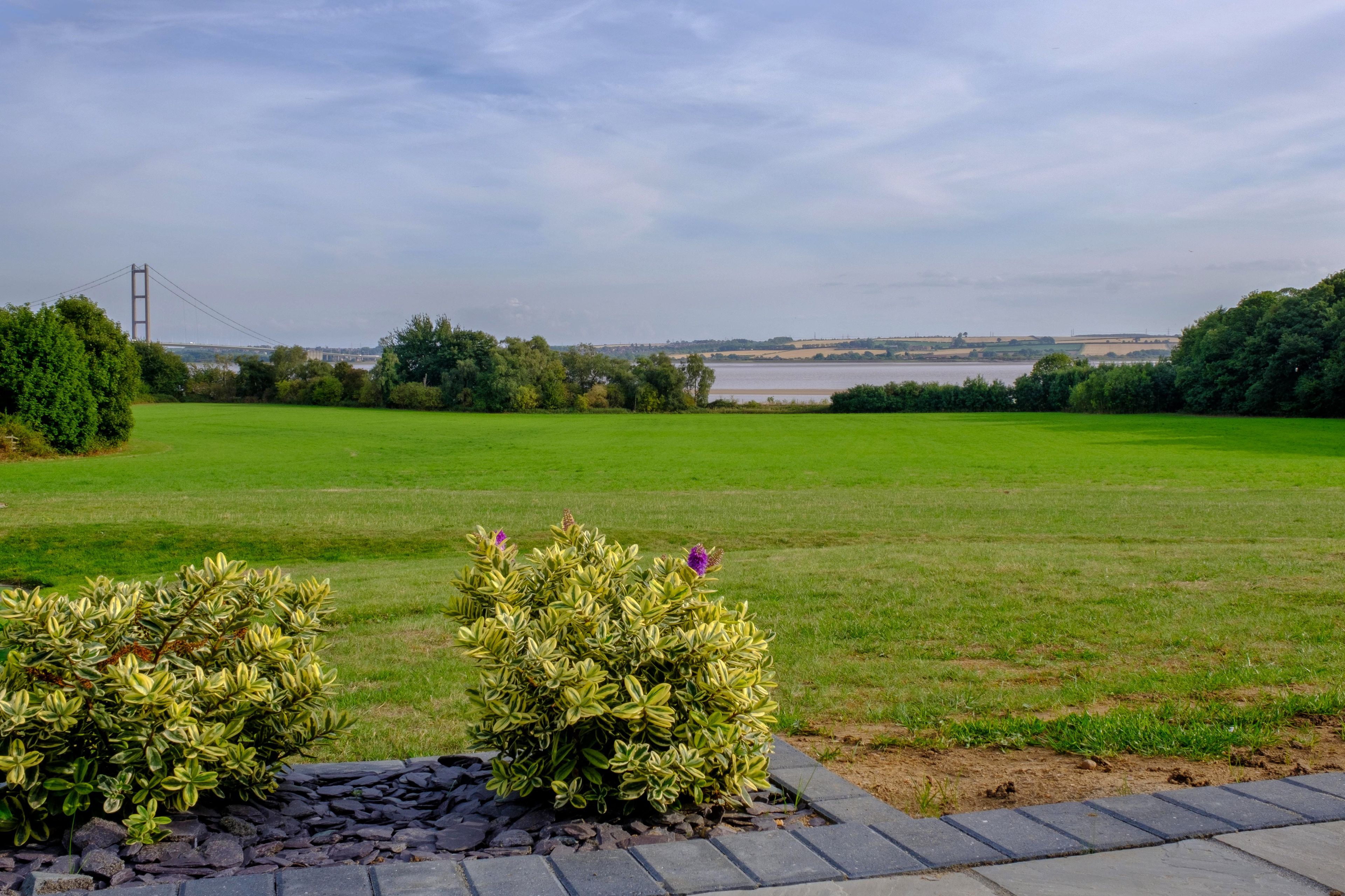 A grassy field with a stone pathway leading to a bush with purple flowers.