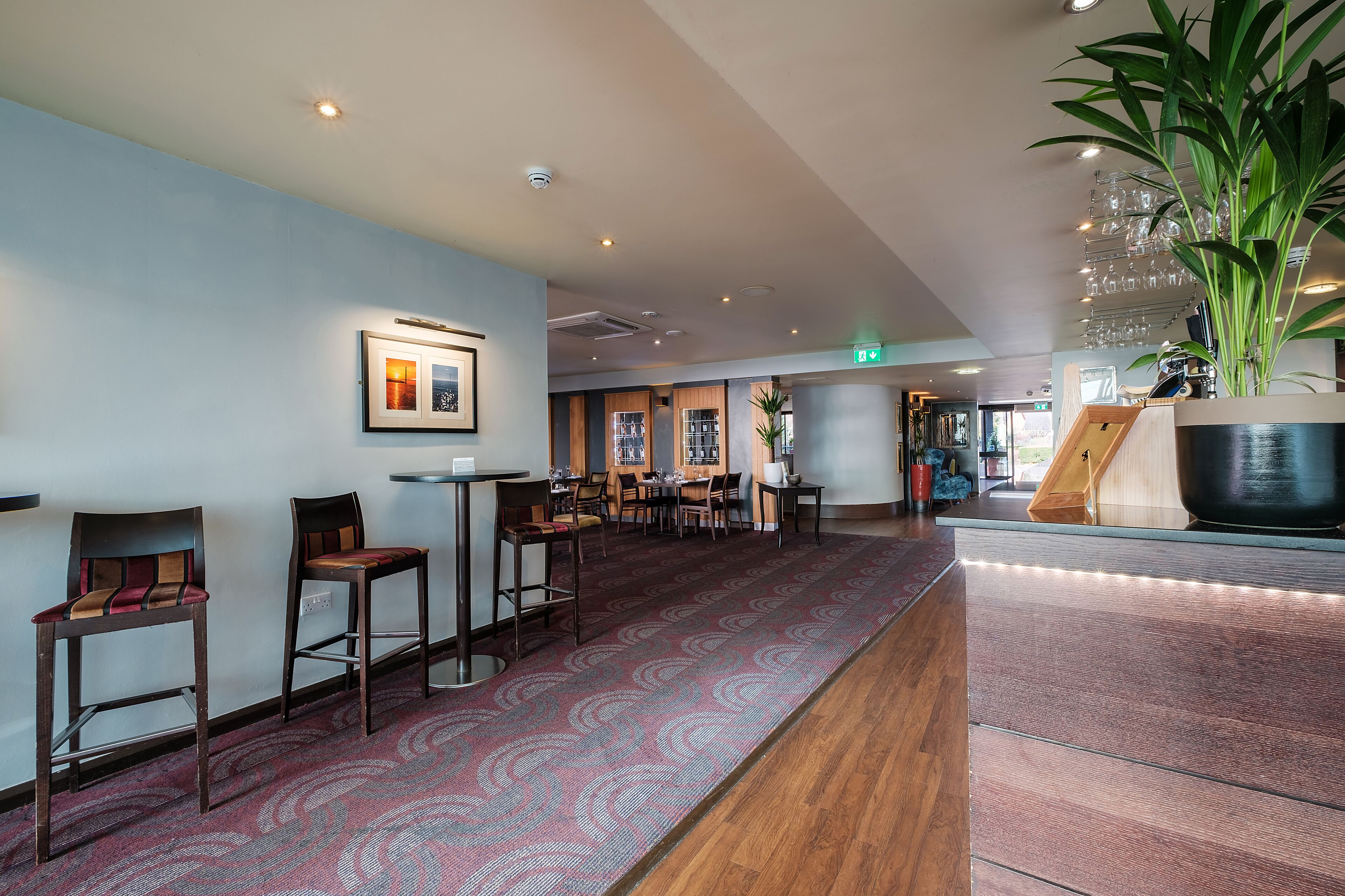 A modern hotel lobby with a patterned carpet, wooden flooring, and a large potted plant.