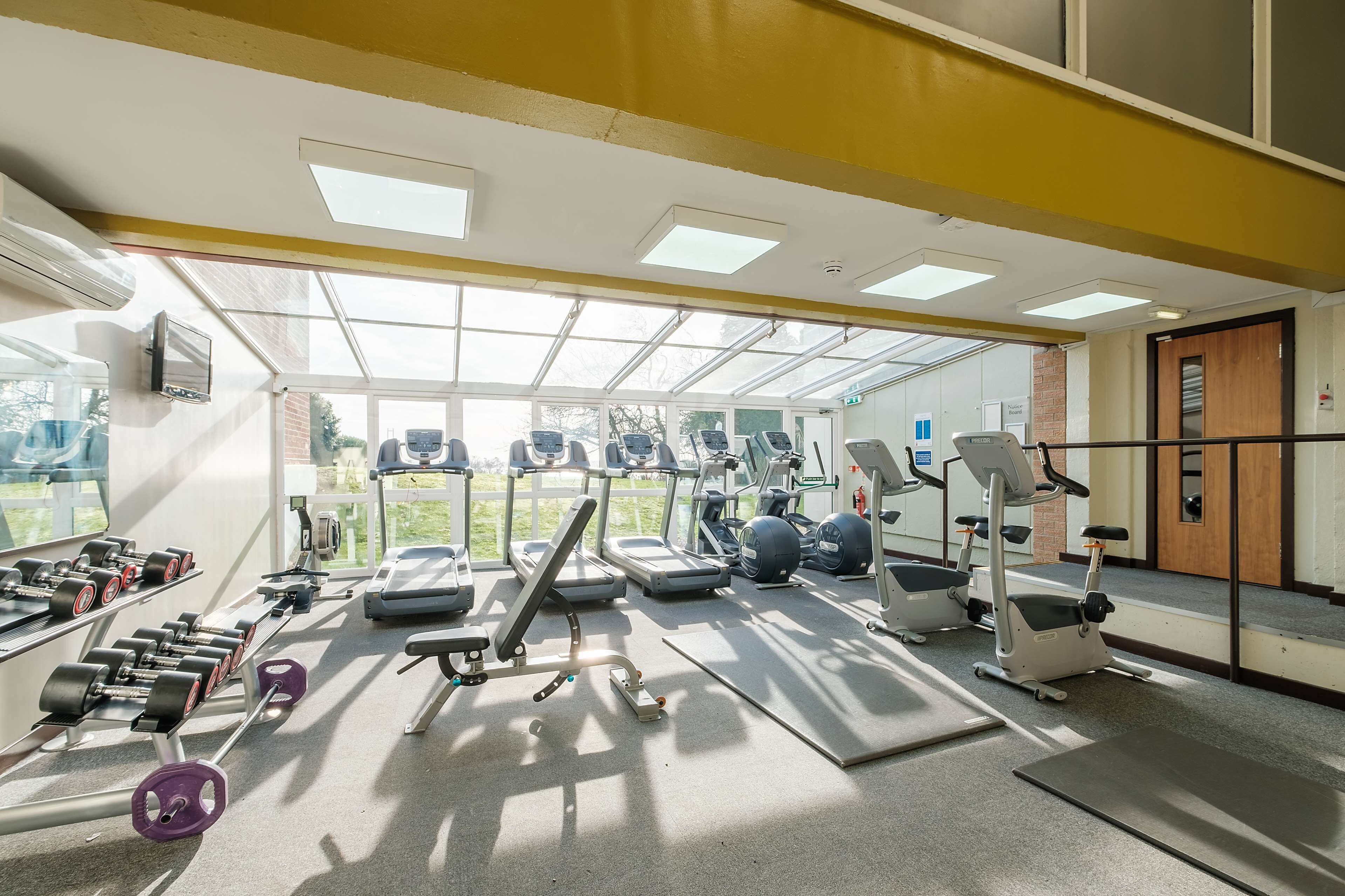 A gym with various exercise equipment, large windows, and a view of greenery.