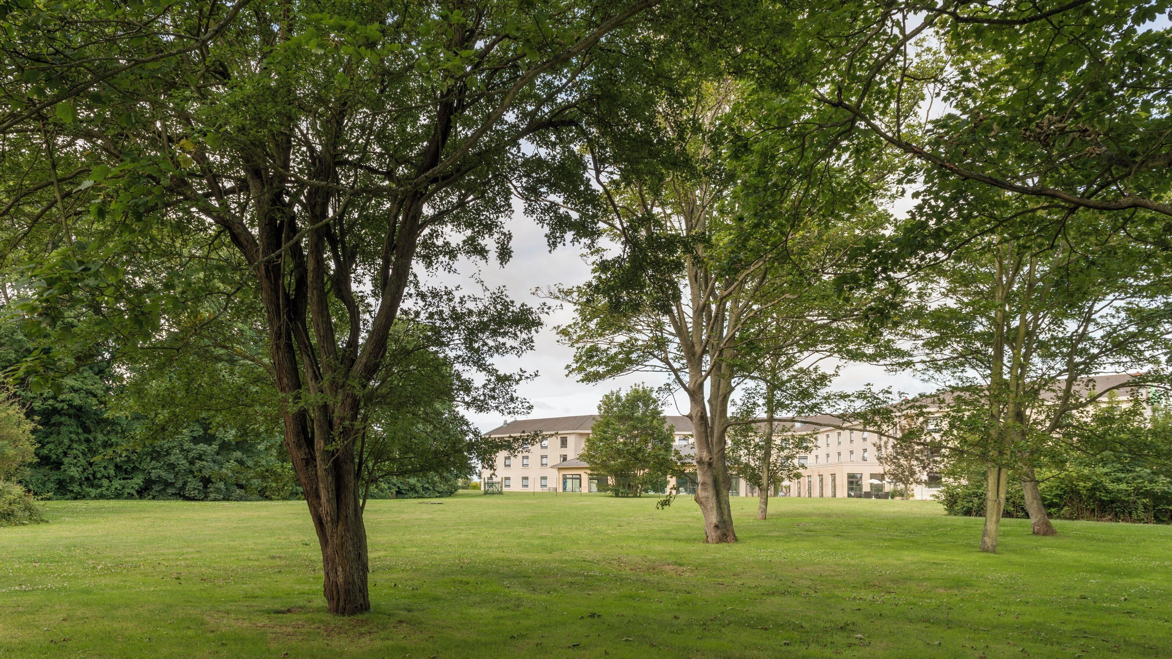 A grassy area with trees and a building in the background.