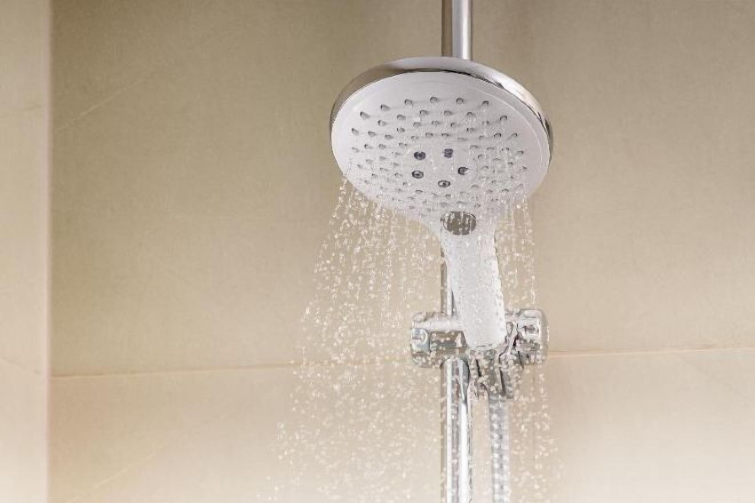 Hand-held showerhead