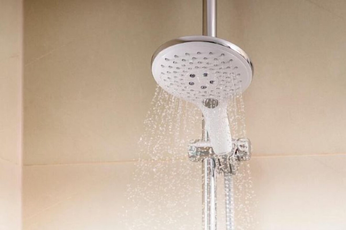 Hand-held showerhead