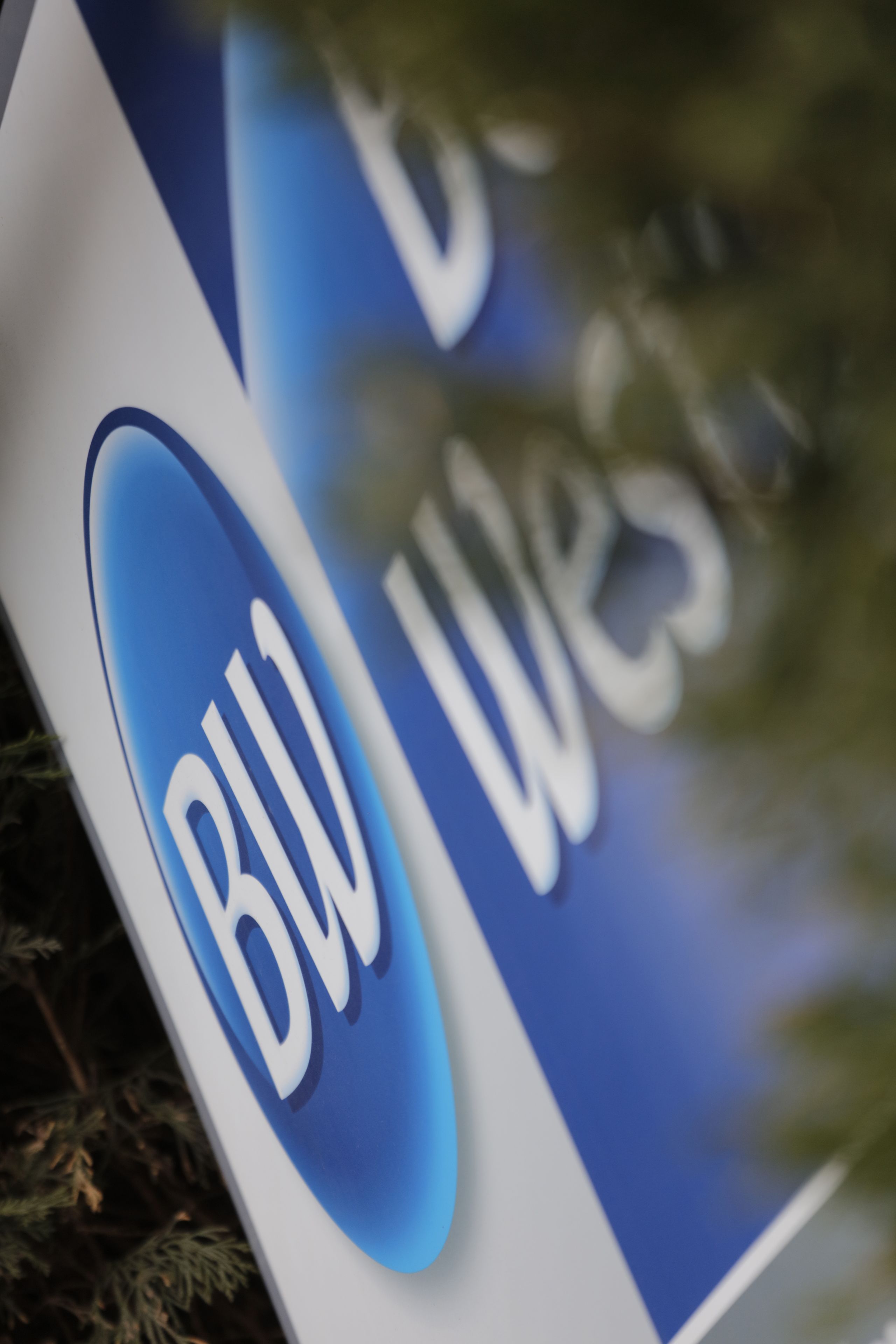 A sign with the text "BluWest" partially obscured by foliage.