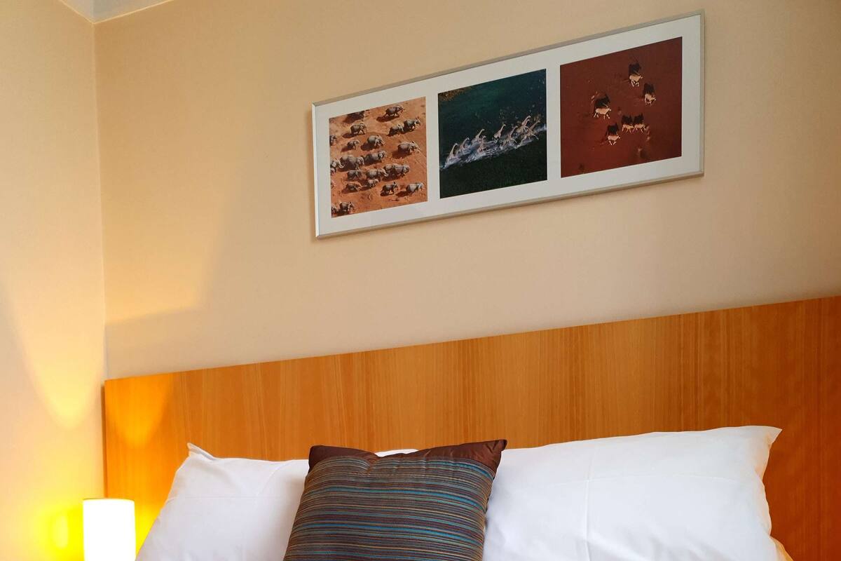 A hotel room with a wooden headboard, white bedding, and a striped throw blanket.