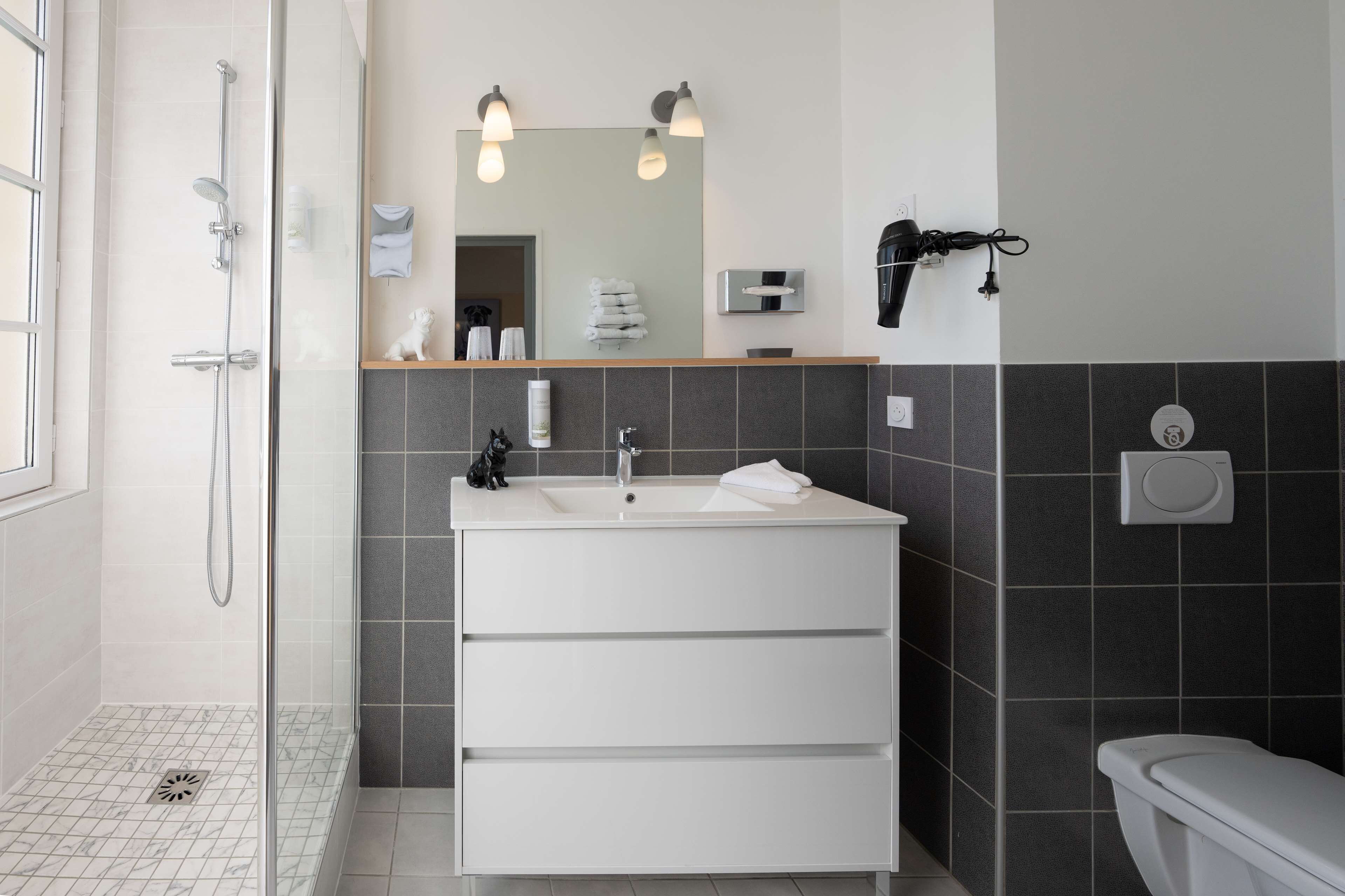 A modern bathroom with a glass-enclosed shower, a white vanity with a mirror, and a toilet.