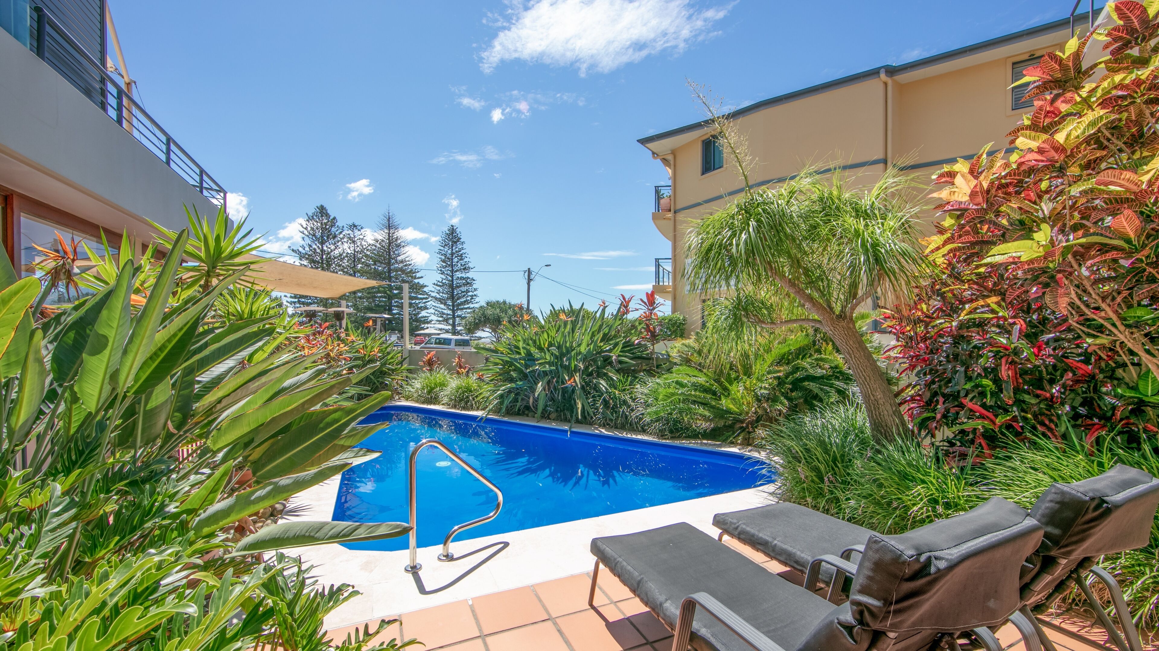 Outdoor pool, pool loungers