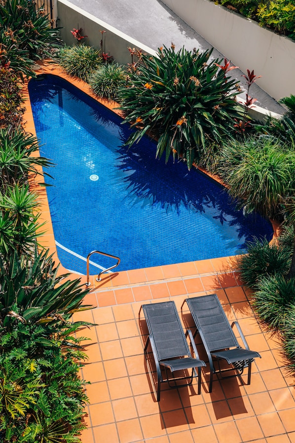 Outdoor pool, sun loungers