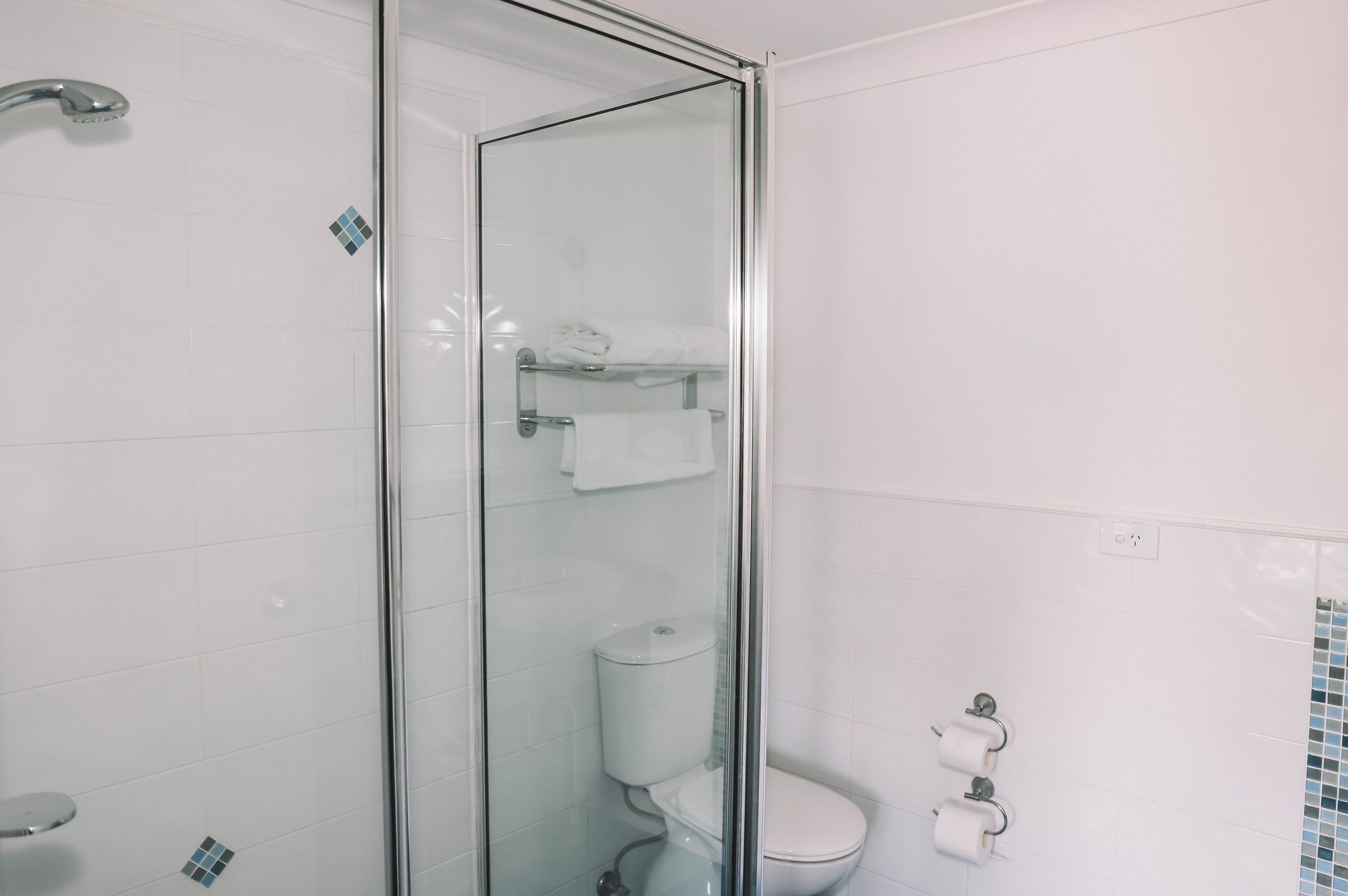 A bathroom with a glass-enclosed shower, a toilet, and a towel rack.