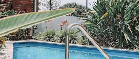 Piscine extérieure, chaises longues