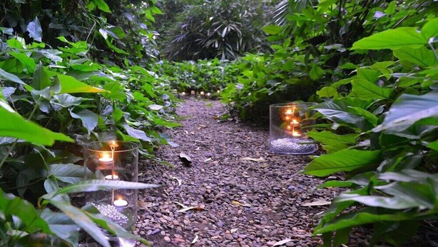 Un sendero serpentea por un jardín exuberante, con dos velas encendidas a cada lado.