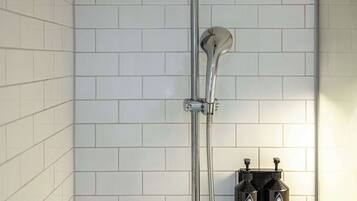 Dusche, Regendusche, Designer-Toilettenartikel, Haartrockner