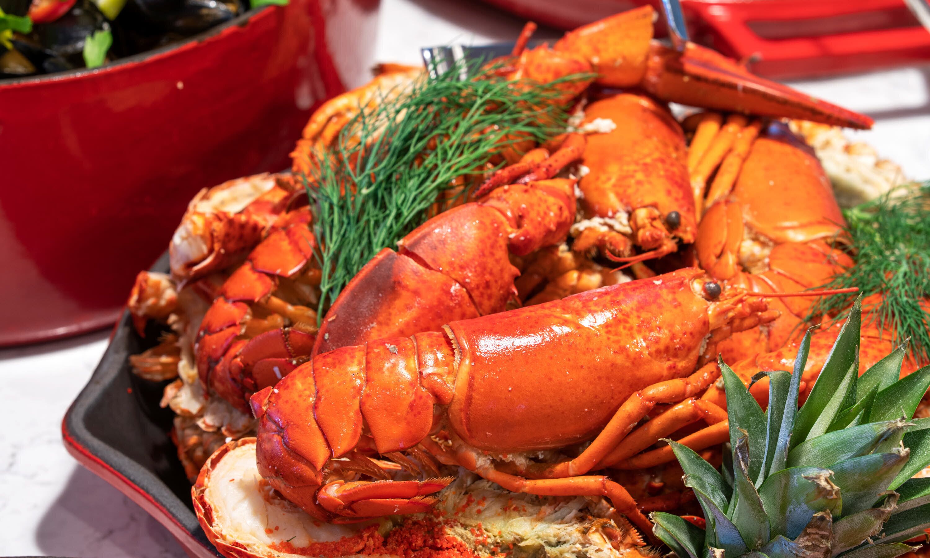 A lobster dish with a red pot in the background.