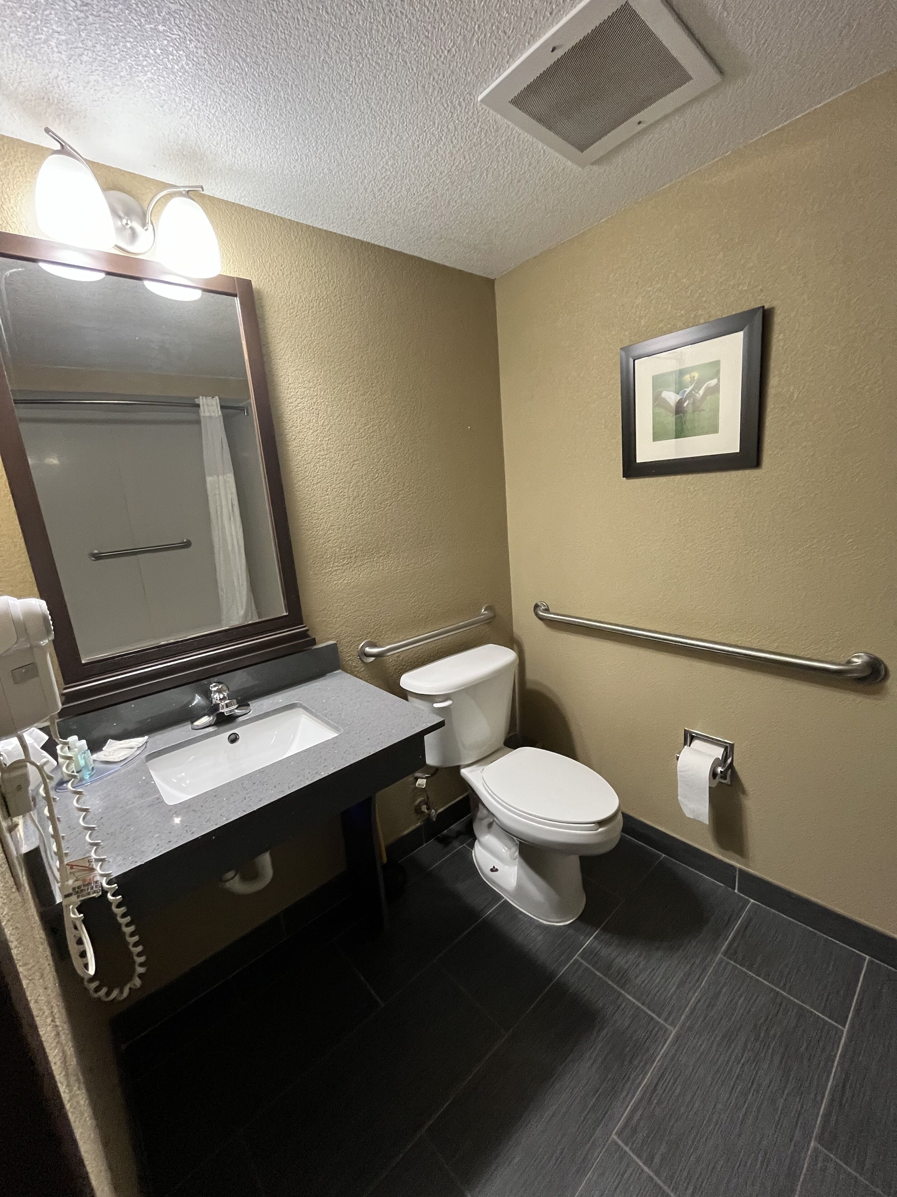 Baño con lavamanos, espejo, inodoro y barra de apoyo.