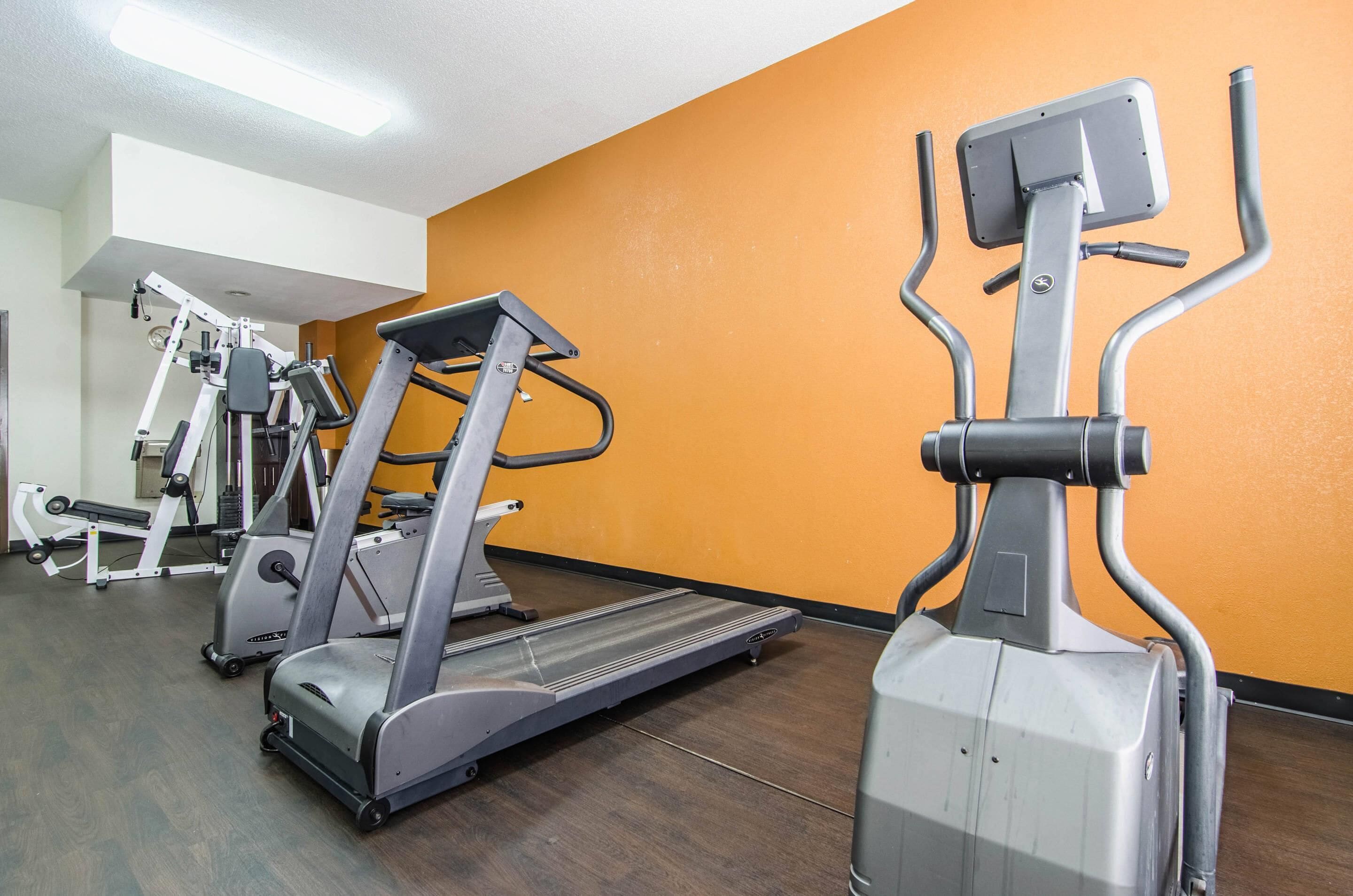 A gym with treadmills, elliptical machines, and weight machines.