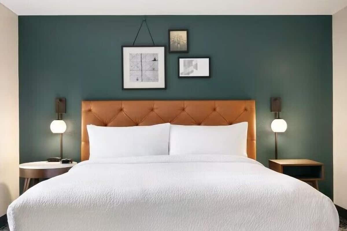 Traditional Room, 1 King Bed (Mobility Accessible, Roll-In Shower) | Premium bedding, in-room safe, desk, laptop workspace