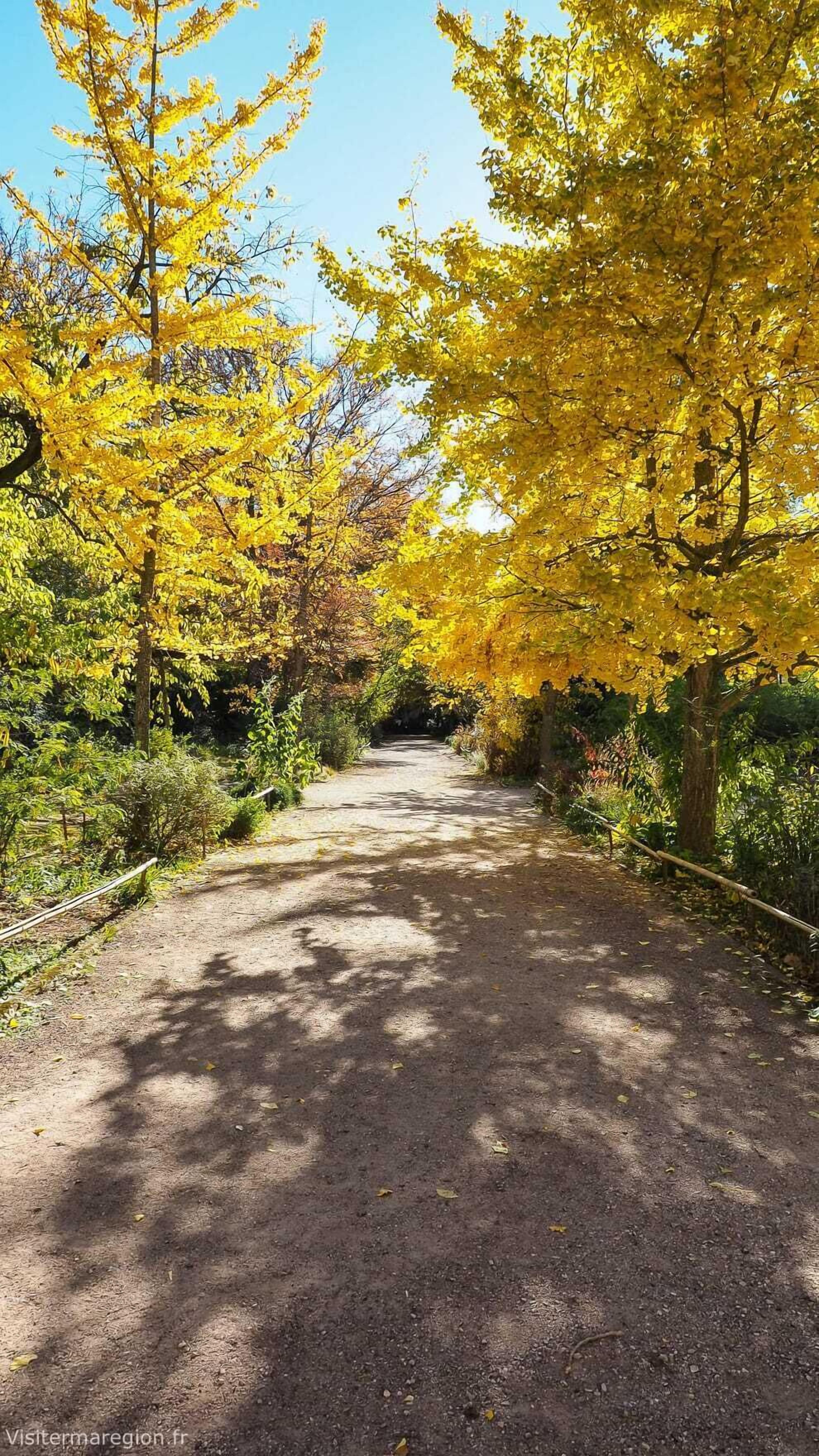 Photo - Kyriad Hotel Montpellier Centre Antigone