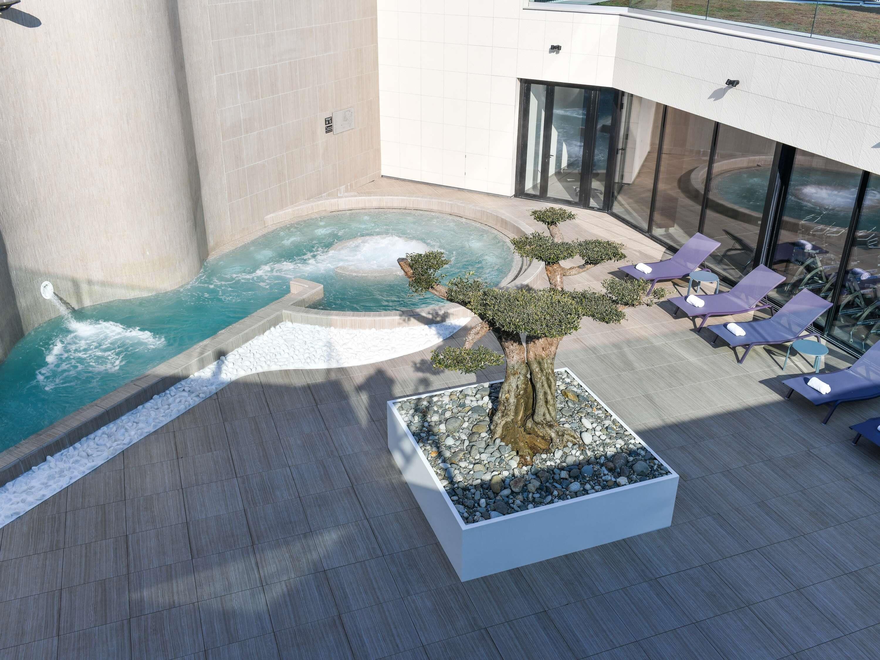 A rooftop pool area with a hot tub, lounge chairs, and a bonsai tree.
