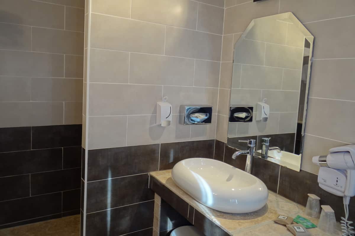 Free toiletries, hair dryer, towels