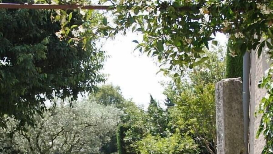 Le Mas des Carassins