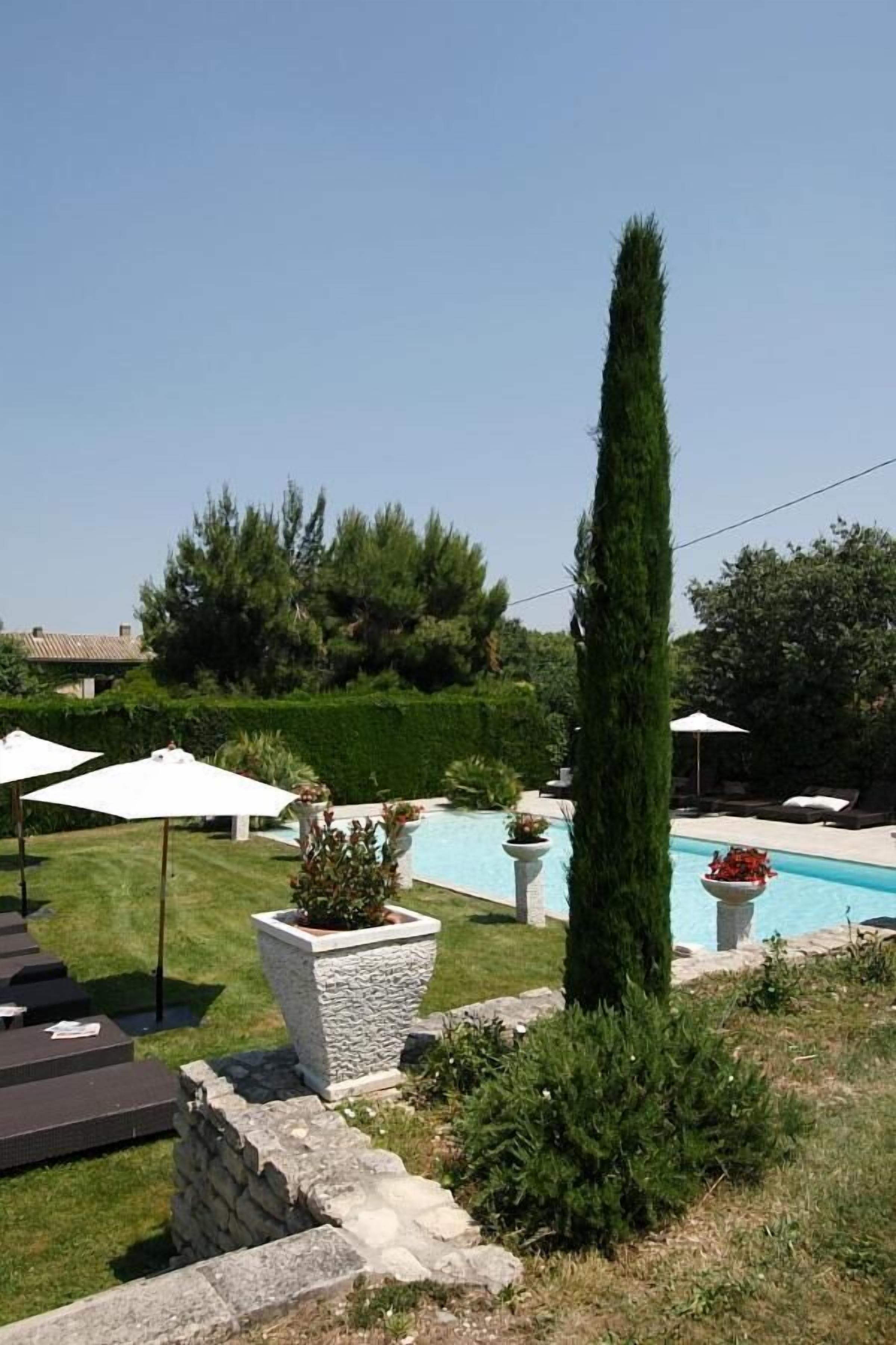A poolside area with a stone wall, a tall conifer, and lounge chairs.