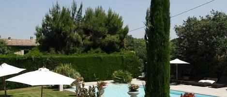 A poolside area with a stone wall, a tall conifer, and lounge chairs.