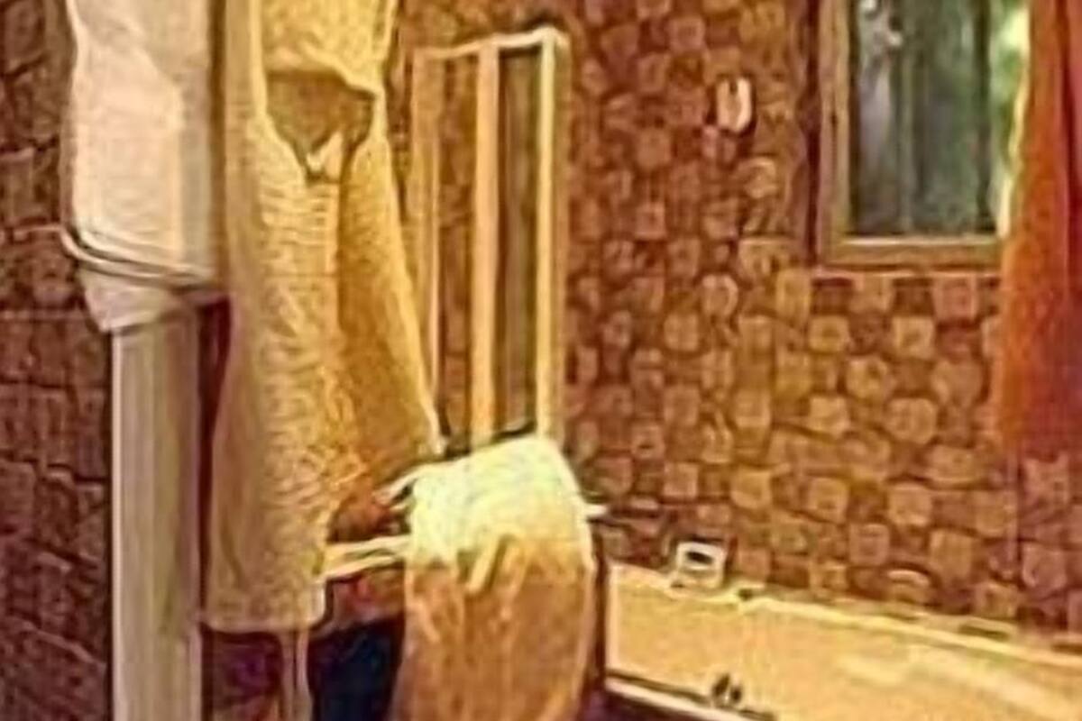combined shower/bathtub, hair dryer, bathrobes, towels
