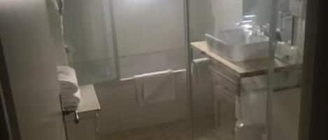 A bathroom with a glass shower enclosure, a sink, and a mirror.