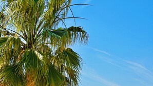 Vista costera con una palmera, un barco y un edificio con techo de tejas.