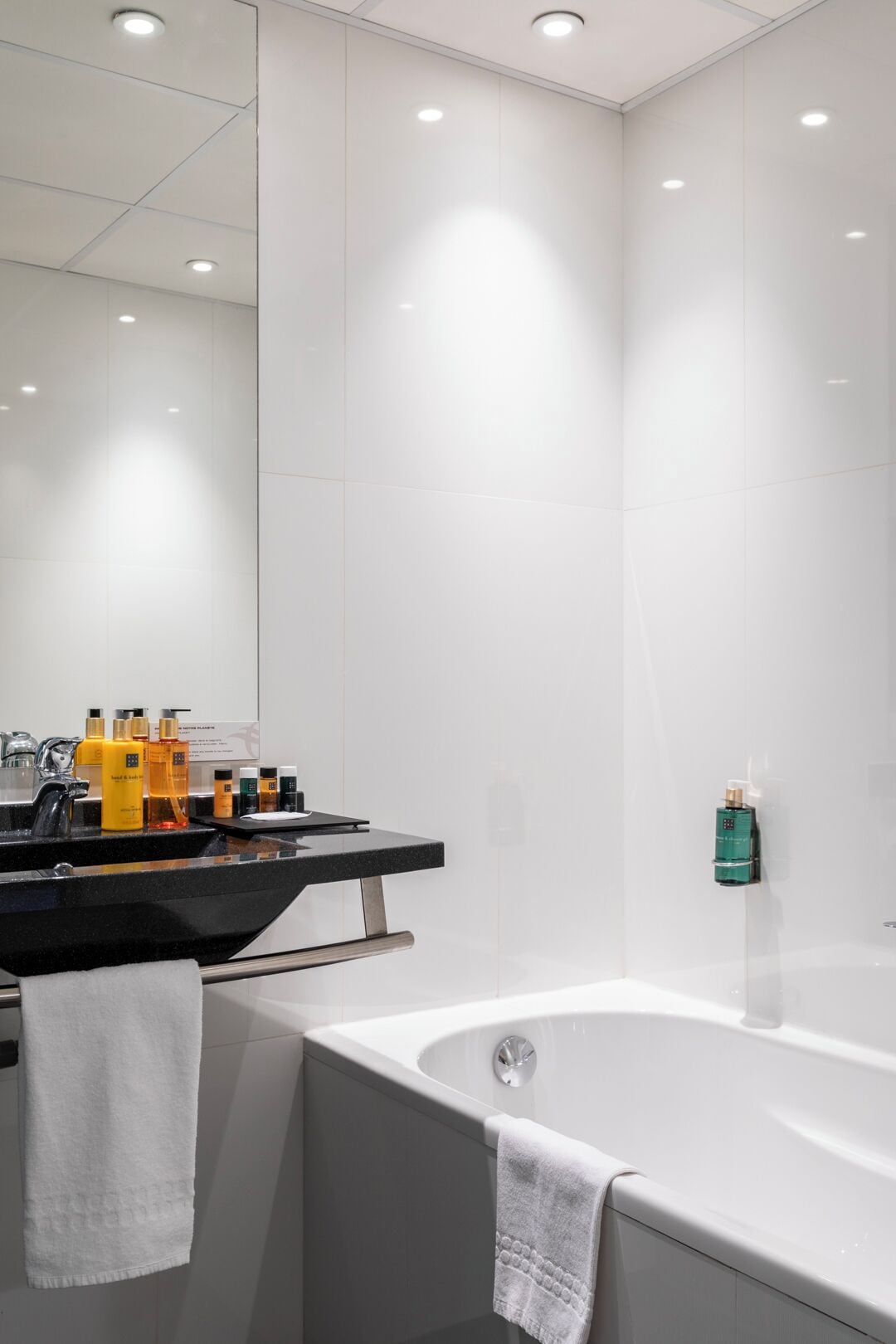 chambre double - prestige | bathroom | shower, rainfall showerhead, free toiletries, hair dryer
