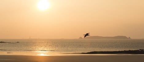 Une scène de plage avec le soleil se couchant sur l’océan, un oiseau en vol et des reliefs lointains.