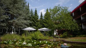 A garden with a pond, umbrellas, and tall trees. - VitalHotel Ascona (Bad Bevensen)